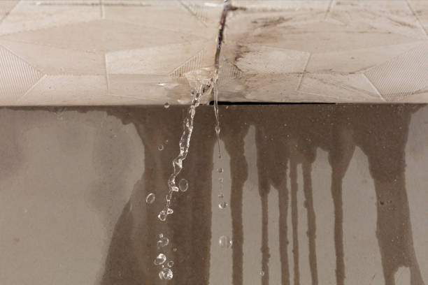 Professional Structural Drying technician working in Allentown, NJ